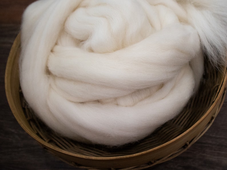 Shetland Wool Natural White 4oz Combed Top / Roving for Spinning and Felting image 2