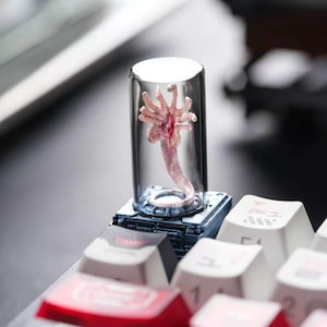 May include: A clear glass vial containing a pink, alien-like creature, set on a small, detailed platform. The vial is positioned on a keyboard with white and red keycaps, creating a unique juxtaposition of themes.