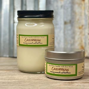 Coconut Lime Soy Candle / tin or mason jar scented candle