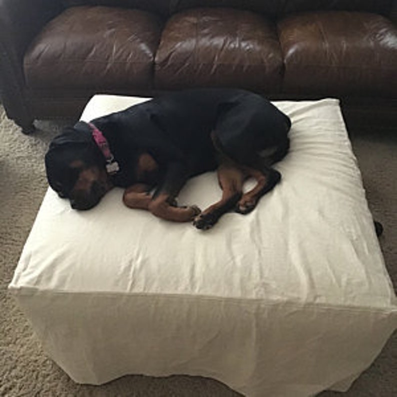 Pu&ograve; includere: Un cane nero e marrone sta dormendo su un pouf bianco.