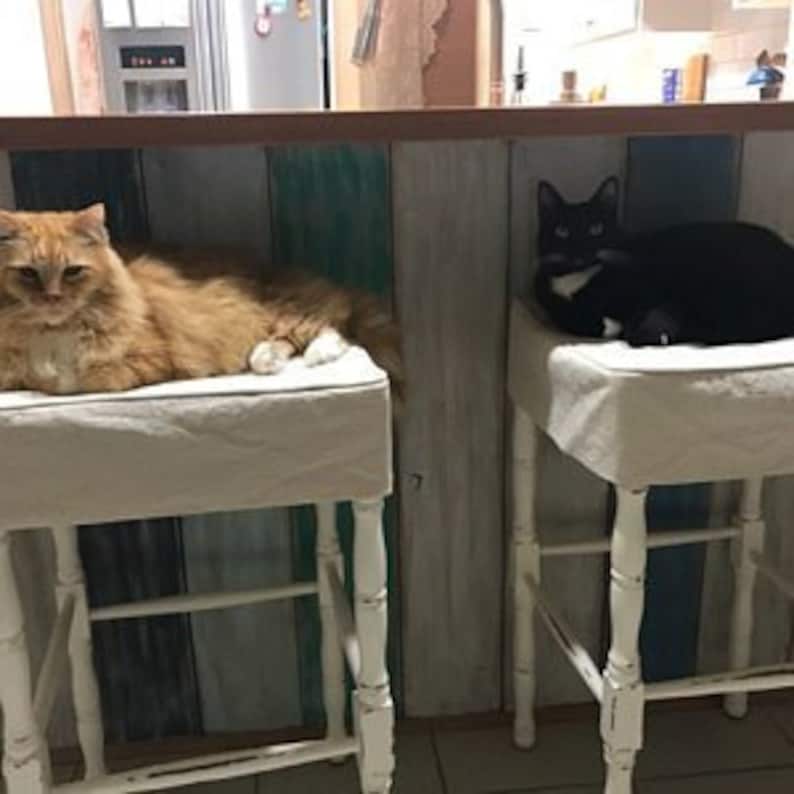 May include: Two cats resting on white stools. One cat is orange with white paws, and the other is black with a white chest. The stools have white wooden legs and are positioned in front of a multi-colored wall.