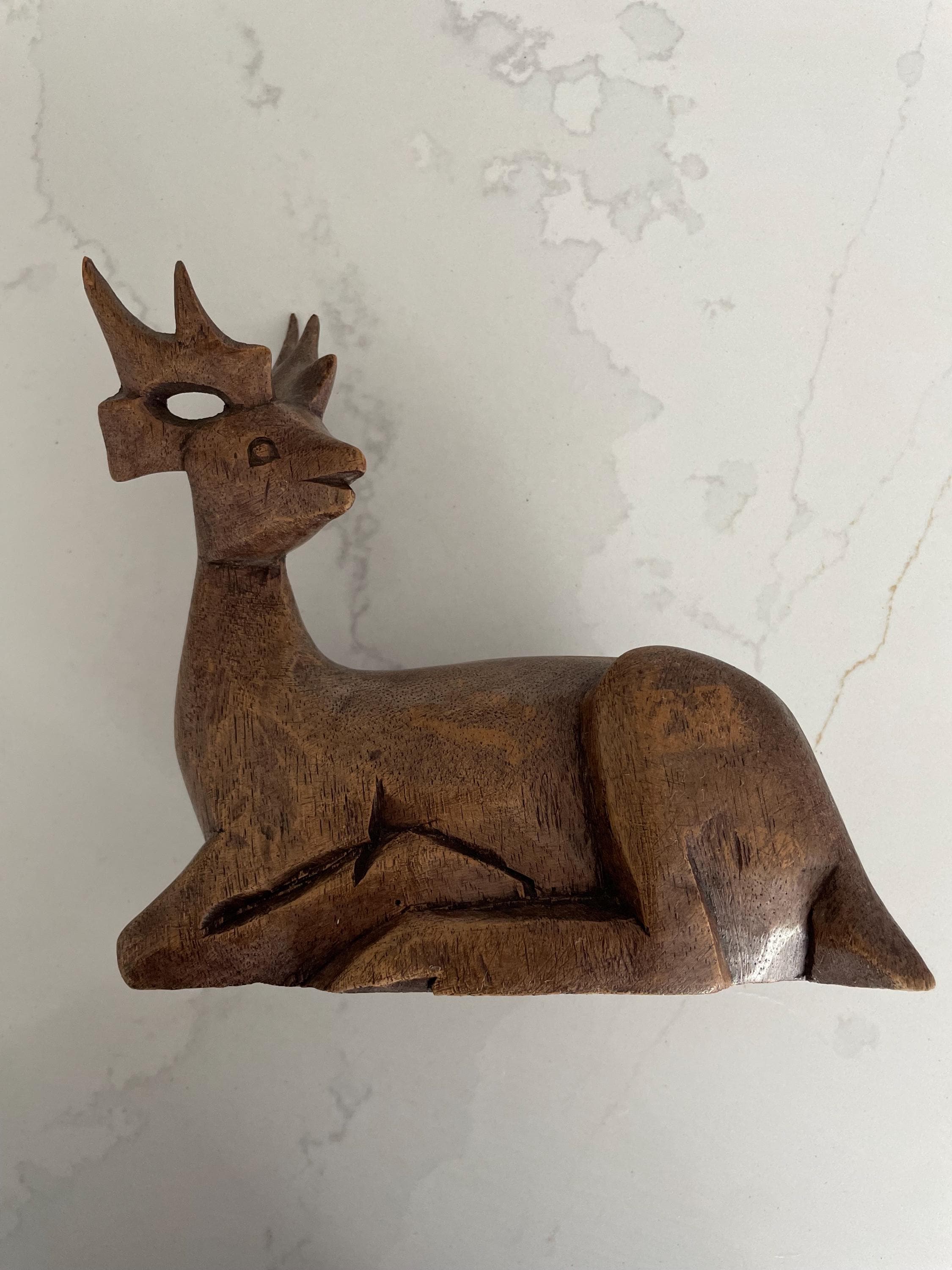 Welke chihuahua kopvorm heeft mijn jongen? : r/Chihuahua, image size:2250x3000