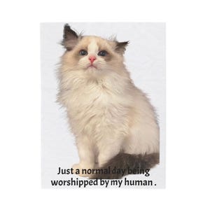 Couverture en peluche en velours de coton Ragdoll - cadeau pour amoureux des chats, cadeau pour papa et maman chat, tasse pour les fêtes avec un ami ronronnant, obsédé par les animaux de compagnie, cadeau pour papa maman chat doux,