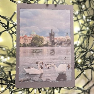 Carte de voeux faite main avec des cygnes de Prague, carte de voeux pour la Saint-Valentin, cadeau 50e anniversaire pour femme, cadeau 50e anniversaire pour homme