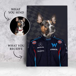 Pet Portrait from Photo, Racer Pet Portrait, Car Lover Pet Owner Present, Custom Pet Portrait Funny Pet Gift, Custom Funny Pet Gift Portrait
