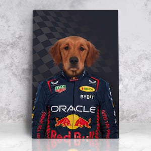 Racer Pet Portrait from Photo, Racer Pet Portrait, Car Lover Pet Owner  Present, Custom Pet Portrait, Funny Pet Gift, Teenager Room Decor