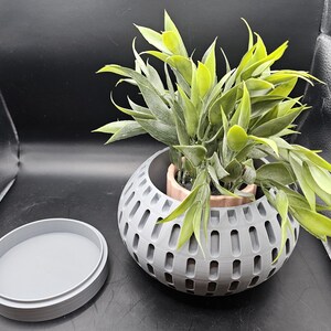 May include: A gray, oval-shaped planter with a geometric design, holding a green leafy plant. The planter has a matching lid and a light brown inner pot. The plant has long, slender leaves with a vibrant green color.
