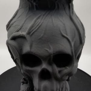 Vaso de caveira Raven & Skull, elegância gótica para sua vegetação