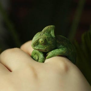 Op de afbeelding: Een kleine, groene kameleon rust op een hand, zijn getextureerde huid versmelt met het omringende gebladerte. De ogen van het reptiel zijn gefocust en zijn lichaam is opgerold. De achtergrond toont groene bladeren, wat een natuurlijke setting creëert.