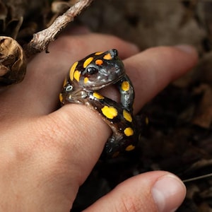May include: A unique ring featuring a salamander design. The ring is black with yellow spots and orange accents, wrapped around a finger. The ring is set against a backdrop of brown leaves and earth.