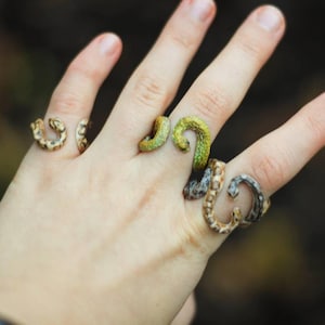 May include: A hand wearing three rings made from different types of snakeskin. The rings are in the shape of a horseshoe.