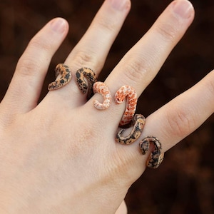Op de afbeelding: Een hand draagt ​​verschillende kleine slangen als ringen. De slangen zijn bruin en oranje met zwarte markeringen.