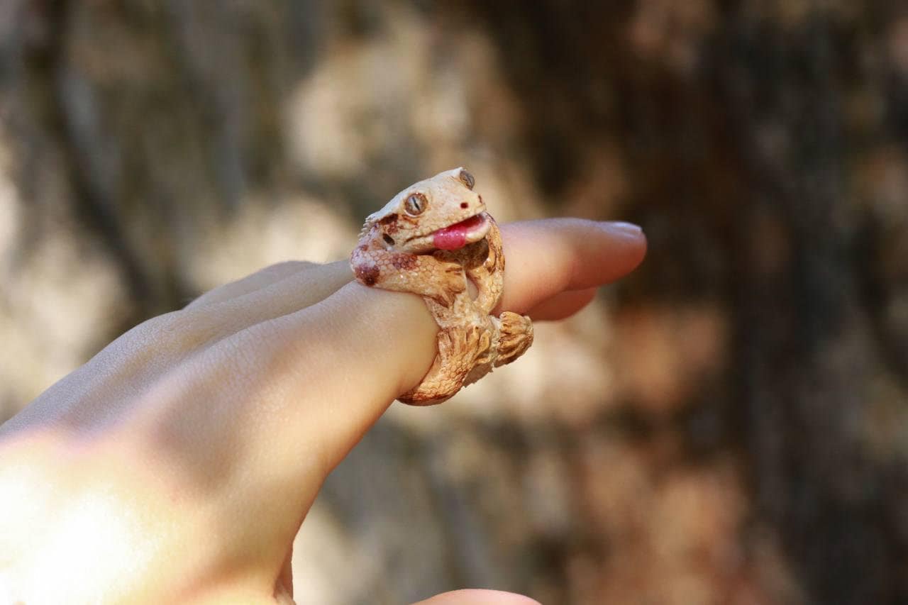 Polymer clay gecko hotsell