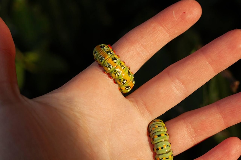 May include: Close-up of two colourful caterpillars resting on a hand. The caterpillars have a yellow and green segmented body with black and red markings. The background is a blurred green.