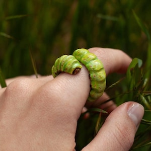 May include: A distinctive ring in the form of a green caterpillar, featuring a textured design and small red markings. The ring is worn on a finger, with a background of green grass and foliage.