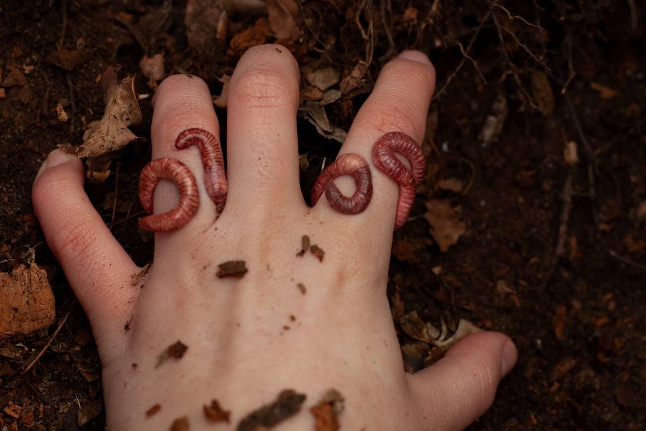 Handmade Realistic Worm Clay Ring: Surreal Art Jewelry