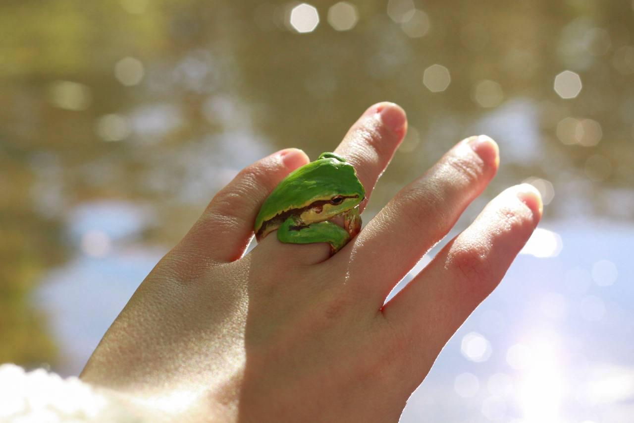 手作りのグリーンアマガエルリング - ポリマークレイジュエリー - Etsy 
