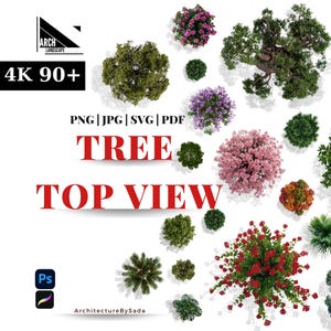 Puede incluir: Vista superior de varios tipos de árboles, incluyendo un árbol de flores rojas, un arbusto verde y una palmera. La imagen está etiquetada como "PNG|JPG|SVG|PDF TREE TOP VIEW".