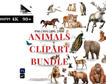 Animals PNG Front View  | 90+ High-Resolution Animal Clipart | Transparent Background | Digital Wildlife Illustrations