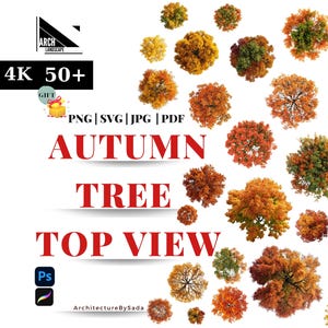 May include: A collection of autumn trees in various colors, including orange, red, yellow, and green, viewed from above. The image includes text that reads "AUTUMN TREE TOP VIEW" and "300PPI 4K 50+".