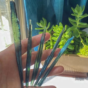 May include: A hand holds several long, slender crystals. The crystals have a translucent, glassy appearance with shades of blue, green, and hints of gold. The crystals are of varying lengths and shapes, with a natural, raw texture.