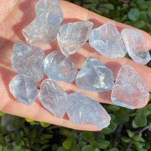 May include: A collection of light blue, irregularly shaped raw crystals. The crystals are held in a hand, with green foliage visible in the background. The crystals have a translucent quality, catching the light.