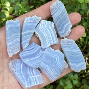 Könnte beinhalten: Eine Sammlung von blauem Spitzenachat mit weißen und blauen Bändern. Die Steine haben unregelmäßige Formen und unterschiedliche Größen. Der Hintergrund zeigt eine Hand, die die Steine mit grünem Laub hält.
