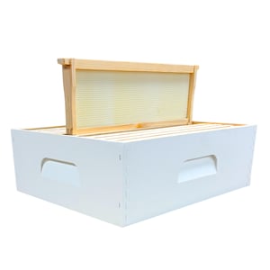 May include: A white wooden beehive with a removable wooden frame containing a yellow wax foundation. The beehive has two handles on the sides.