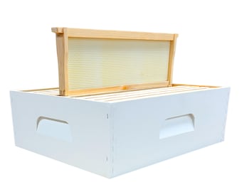 Colmena mediana Super completa ensamblada