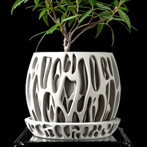 May include: White ceramic planter with a unique, organic, and intricate design. The planter has a wide, round base and a narrow opening at the top. A small green plant is growing inside the planter.