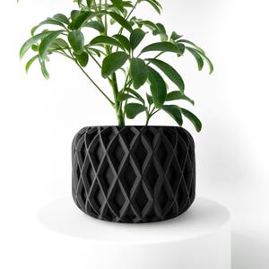 May include: A matte black cylindrical plant pot featuring a raised geometric diamond lattice pattern on its exterior surface. A green leafy plant with multiple stems and oval-shaped leaves is planted inside the container, extending upwards.