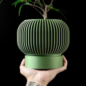 May include: A sage green plant pot featuring a rounded, ribbed exterior with vertical slats and a solid, smooth cylindrical base. The planter has a wide, open top containing a small green plant with thin, delicate branches and leaves.