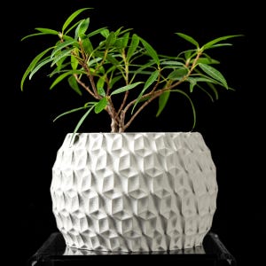 3D Printed Hexagon Planter Pot with Tray: Modern Succulent & Cactus Planter