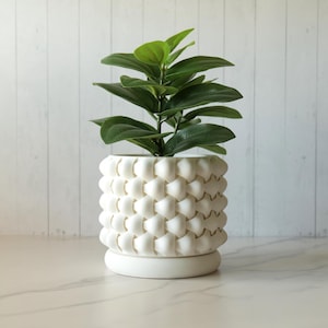 May include: A white ceramic planter with a woven texture, holding a green leafy plant. The planter has a round base and a cylindrical body. The plant has large, oval-shaped leaves. The background is a light-colored, wood-paneled wall.