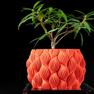 May include: A small green plant with a thick trunk growing in a bright orange planter with a textured, wavy design.