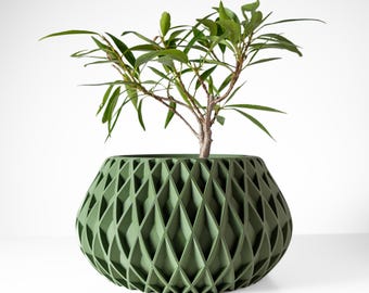 May include: A green, geometric-patterned planter pot contains a small plant with long, green leaves. The pot has a diamond-shaped design and a rounded shape. The plant's trunk is visible, and the leaves are a vibrant green colour. The background is white.