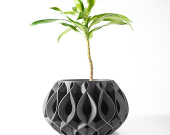 May include: A grey, geometric planter with a unique, intricate design. A green plant with long, narrow leaves is growing in the planter.
