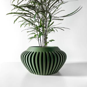 May include: A green planter with a unique, ribbed design. The planter is filled with a leafy green plant.