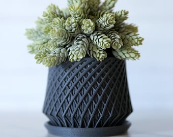 3D Printed Succulent Planter with Tray: Modern Home Decor