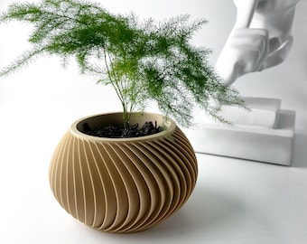 May include: A round, beige planter with a spiraling, ribbed texture containing a green asparagus fern plant. The planter has a wide, open top and a curved, bulbous body. The plant features delicate, feathery fronds that extend outward.