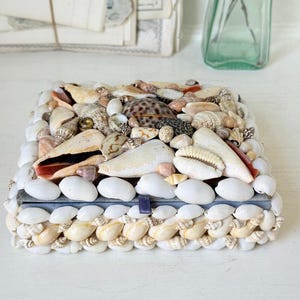 May include: A rectangular box covered in a variety of seashells. The lid features a dense arrangement of tan, brown, and white shells, while the sides are decorated with rows of smooth white and cream-coloured shells. A small purple ribbon tab is visible.