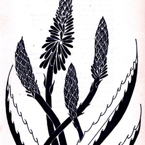 Don Blanding, GUARDED BEAUTY, Art Deco Print, Printed in 1946, Vintage Book Page Print For Framing