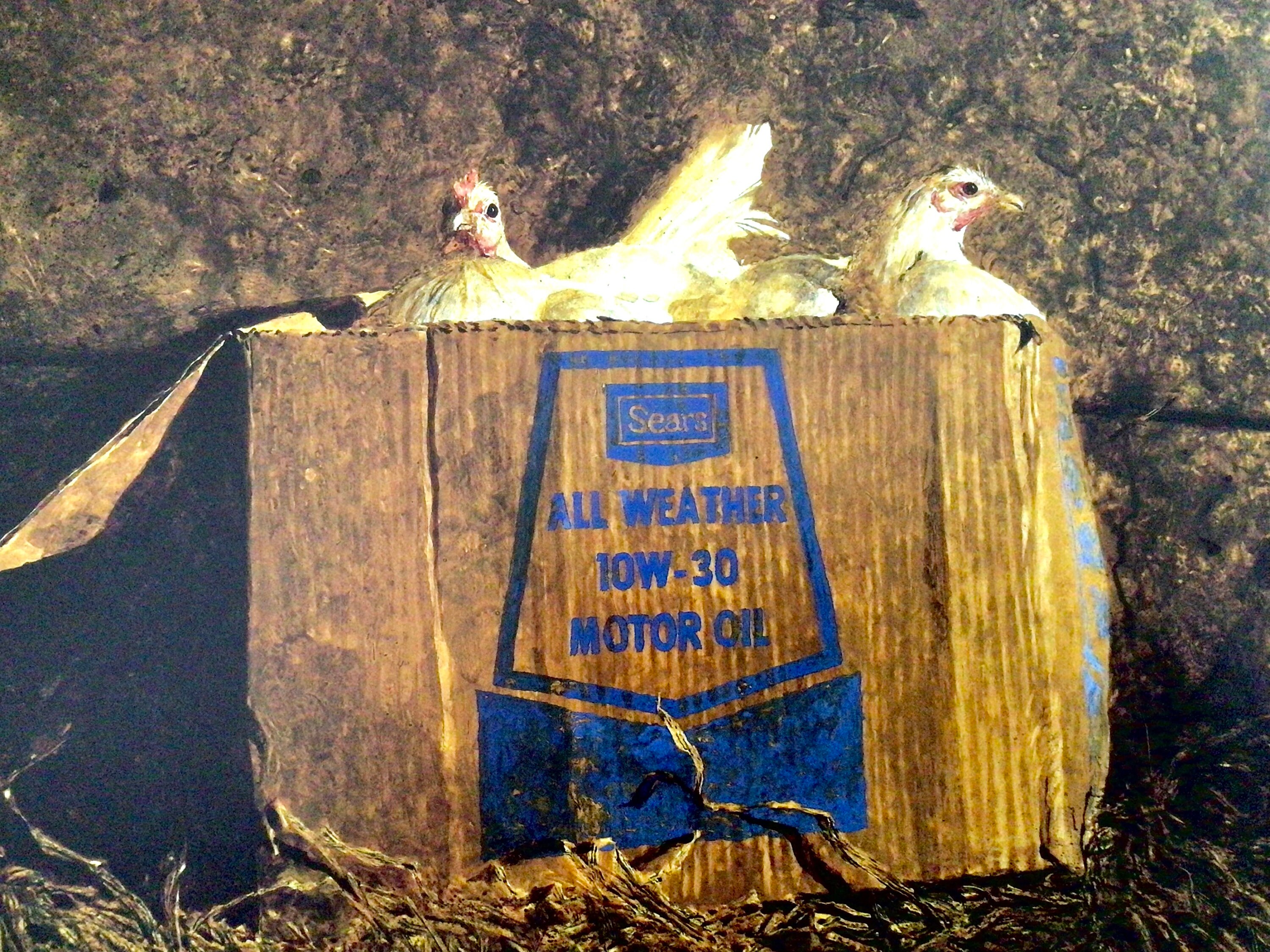 James Wyeth 10W30 Unframed Book Print Birds Farm Scene - Etsy James Wyeth 10W30 Unframed Book Print Birds Farm Scene - Etsy