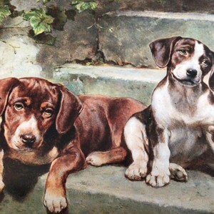 Carl Reichert, Vintage Dog Print, Bookplate Print, Unframed Art, Good for Framing, Collage, Decoupage, Mixed Media