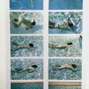 David Hockney, Le Nid du Duc, Small Vintage Reproduction for Framing, Book Print, Wall Art, Unframed