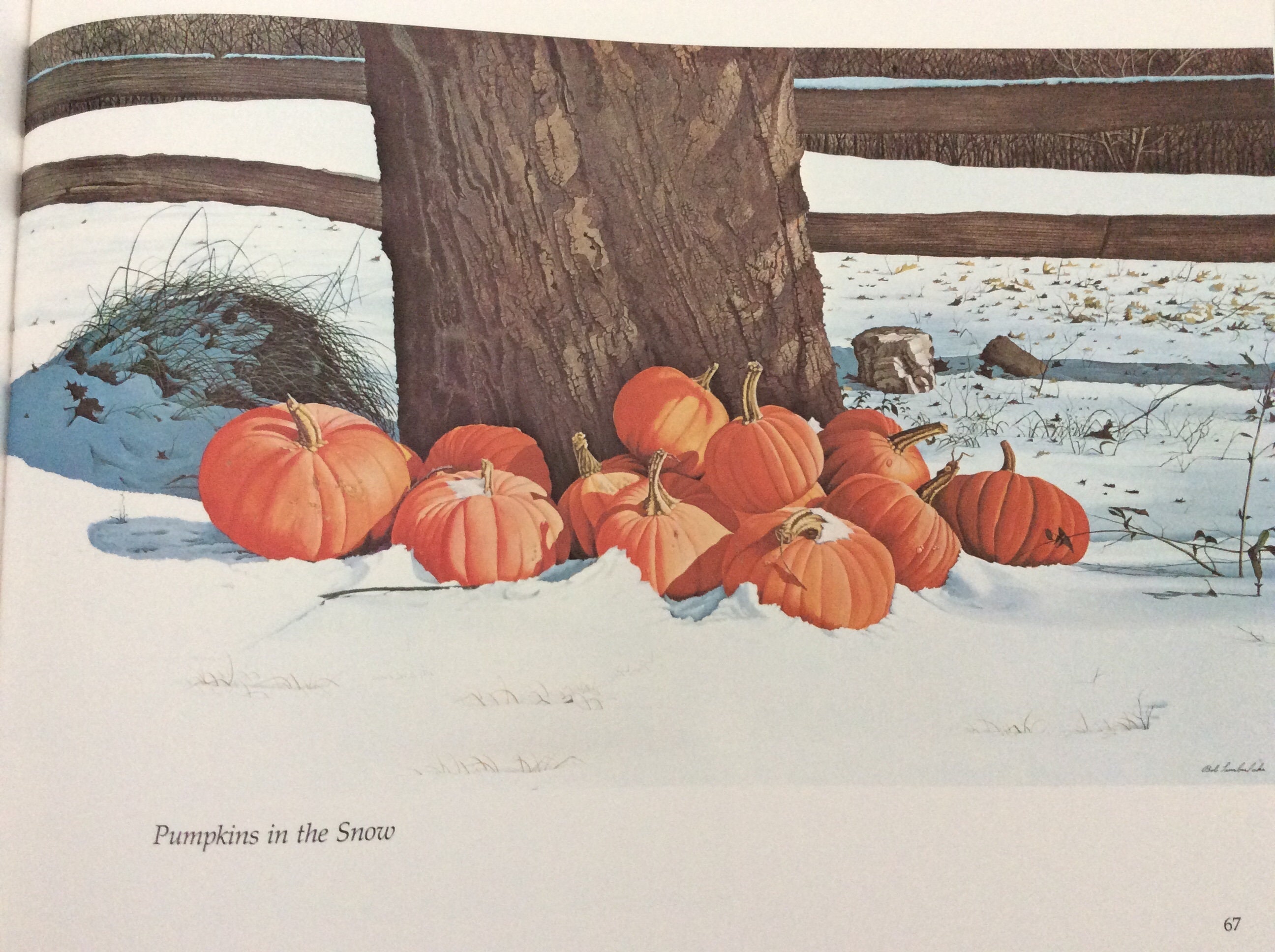 Bob Timberlake Prints for sale Only 4 left at 60