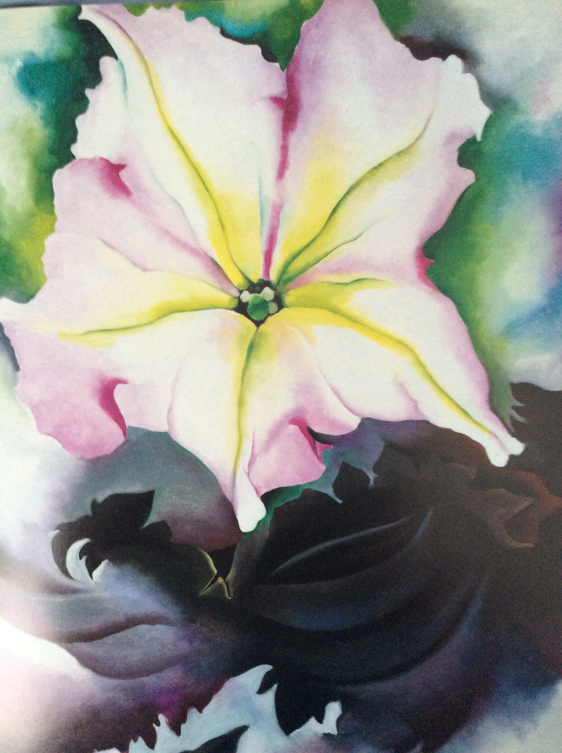 希少! Georgia O'Keeffe Petunia,1925 Poster Petunia, 1925 by Georgia O'Keeffe - Paper Print - SFMOMA