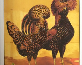 J. W. Ludlow, Golden-Spangled Polish Chickens, 8 x 11 in. Book Print for Framing, Birds, Chickens