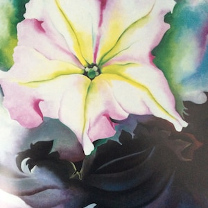 Georgia O’Keeffe, Petunia and Coleus, 1924, 13 x 16 in. Book Page Print for Framing