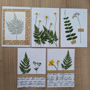 Handgefertigte Grußkarten mit getrockneten Blumen DIN A6